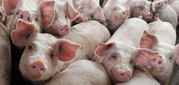 IMG_20210311_125153.jpg IMG