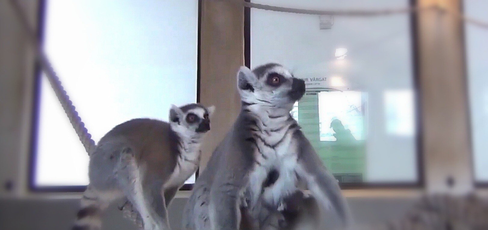 Screenshot_20210311_123005.jpg Screenshot