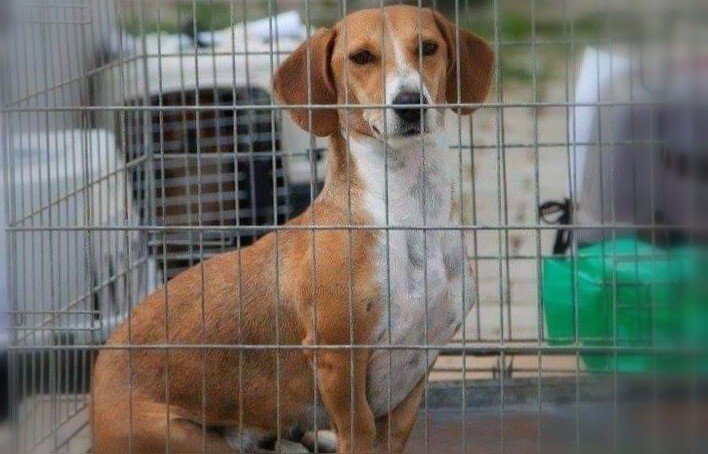 IMG_20210305_101759.jpg IMG