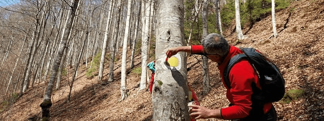 Screen Shot 2021-04-25 at 12.44.44 Screen Shot at