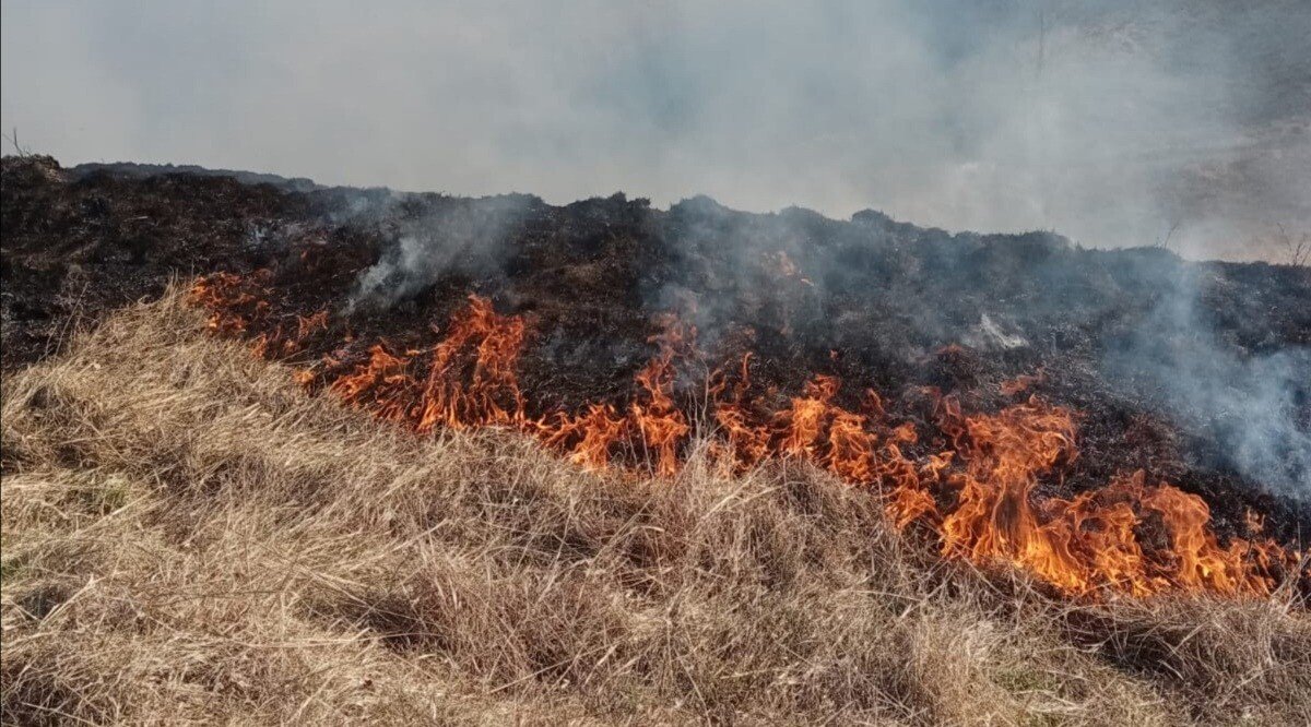 IMG_20210402_142614.jpg IMG