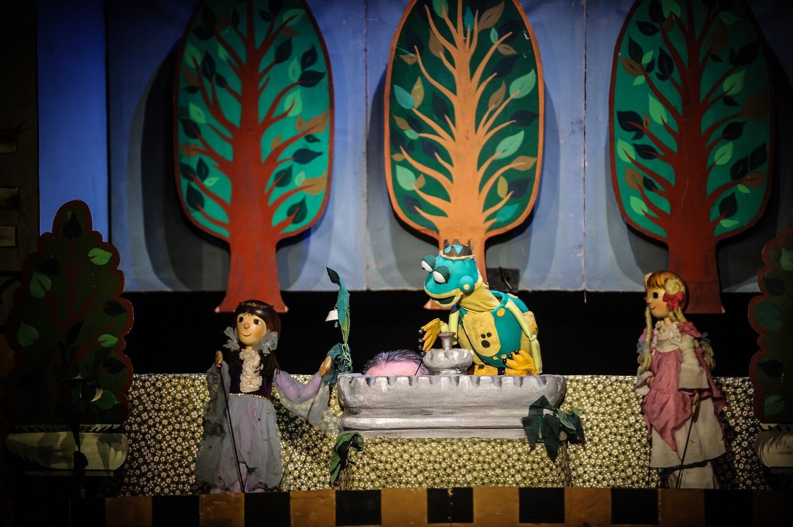 foto Broscuta fermecata Dragos Dumitru