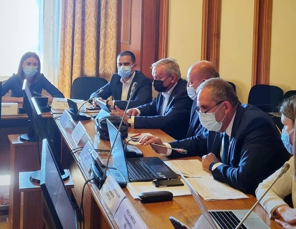 foto comisia industrii si servicii