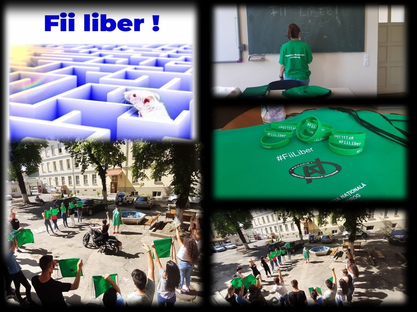 collage.jpg collage scaled