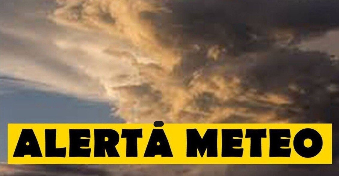 IMG_20210625_151130.jpg IMG