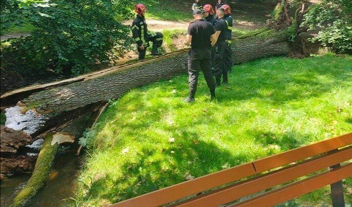 IMG_20210621_153847.jpg IMG