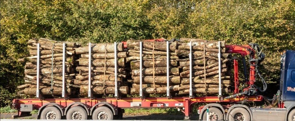 IMG_20210611_141438.jpg IMG