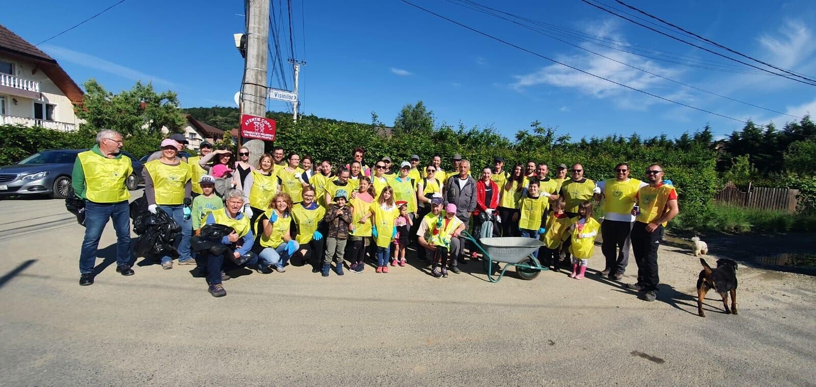 Cisnadioara curatenie 3 WhatsApp Image at