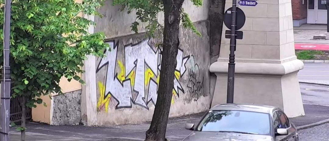 IMG_20210603_201739.jpg IMG