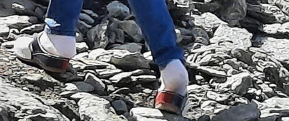 IMG_20210712_175426.jpg IMG