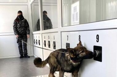 Centrul Chinologic din Sibiu își deschide porțile pentru public. Două zile cu demonstrații ale câinilor de serviciu