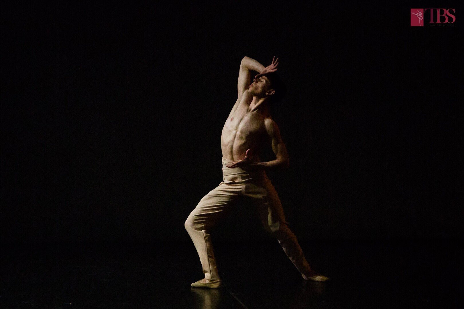 Foto credit TBS Ovidiu Matiu Verdansk