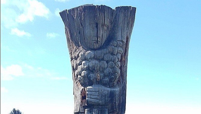 IMG_20210825_122712.jpg IMG