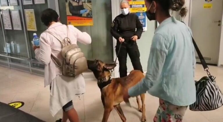 screenshot_20210717_1350286803984758269250005-768x420.jpg screenshot