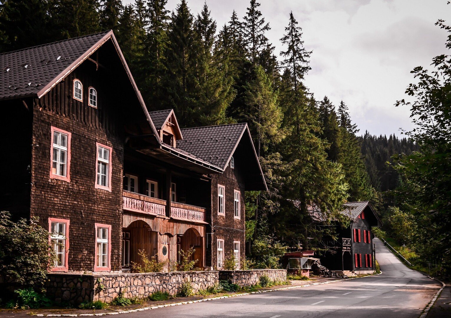 paltinis-123338533313373685457..jpg paltinis