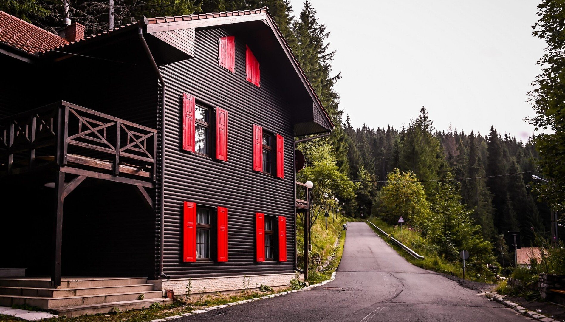 Paltinis  mic scaled e