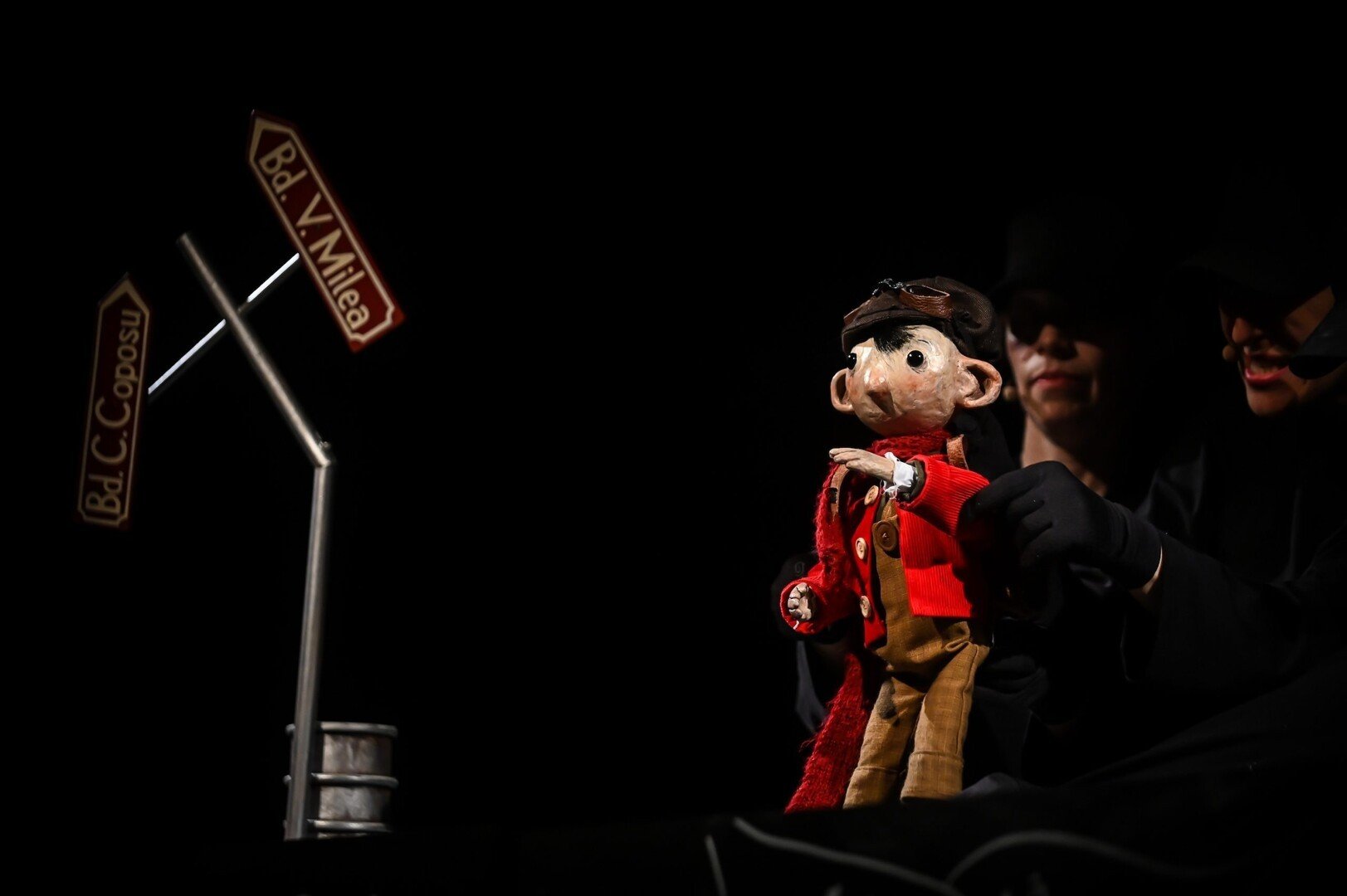 hermann viseaza credit foto dragos dumitru  scaled