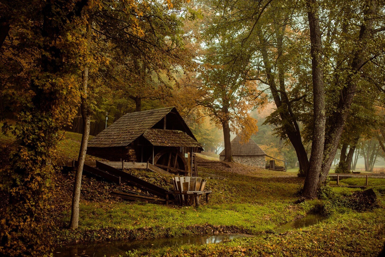 Muzeul-ASTRA_toamna.jpg Muzeul ASTRA toamna