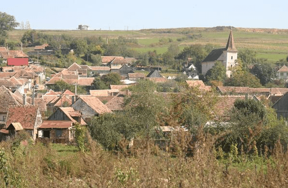 Captură de ecran 2021-10-28 213943 Captura de ecran