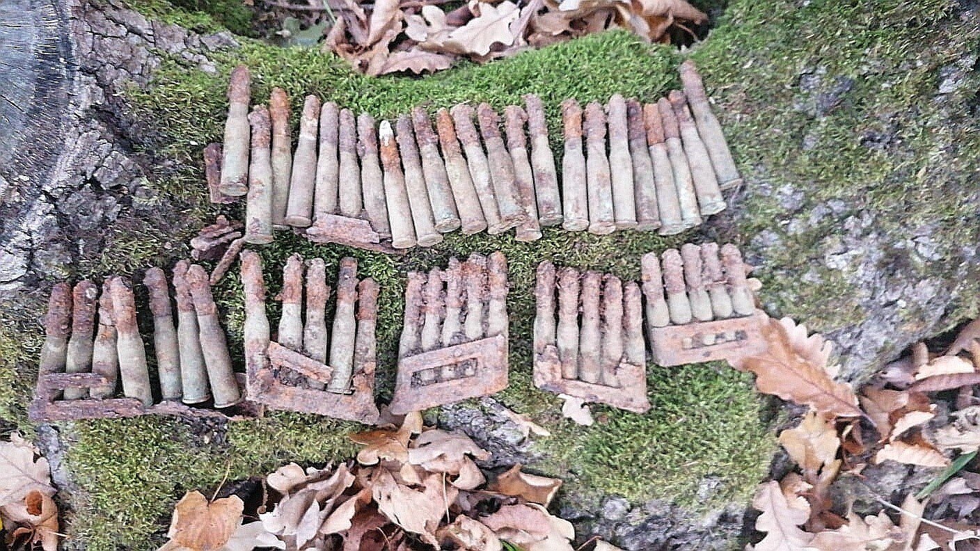 IMG_20211026_095055.jpg IMG