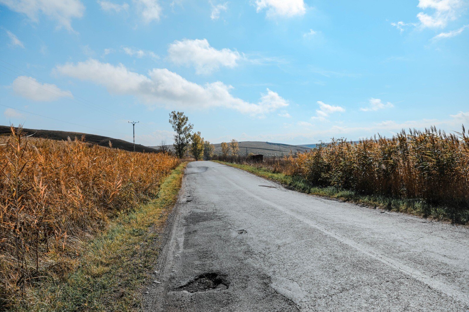 WhatsApp Image    at