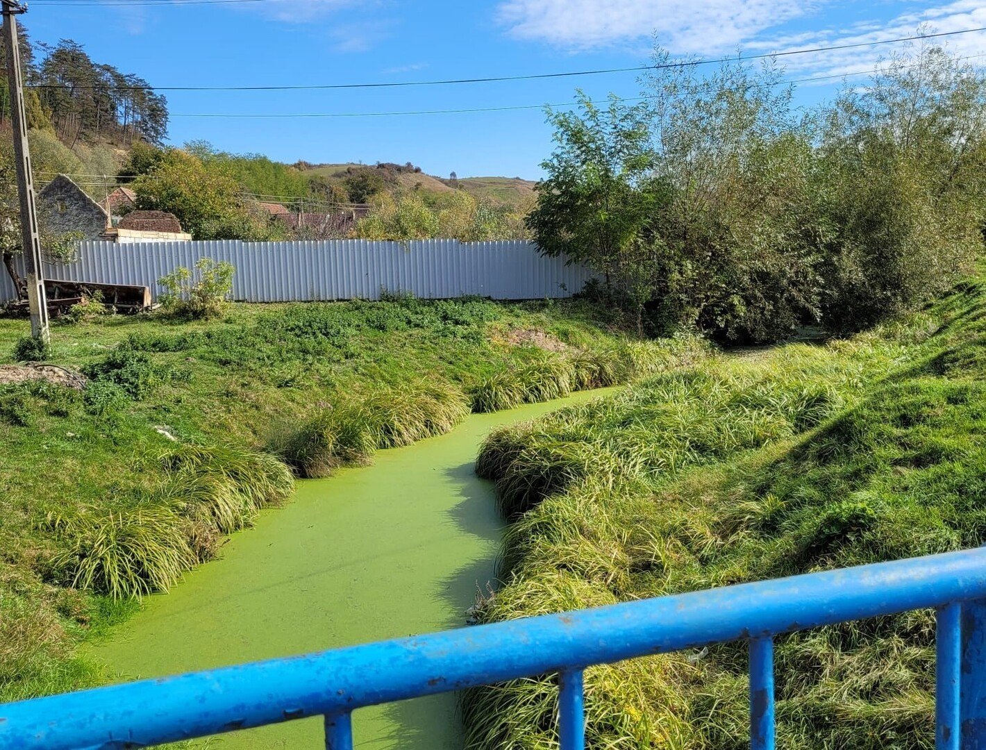 valea Stejarisu Sibiu 2021 WhatsApp Image at