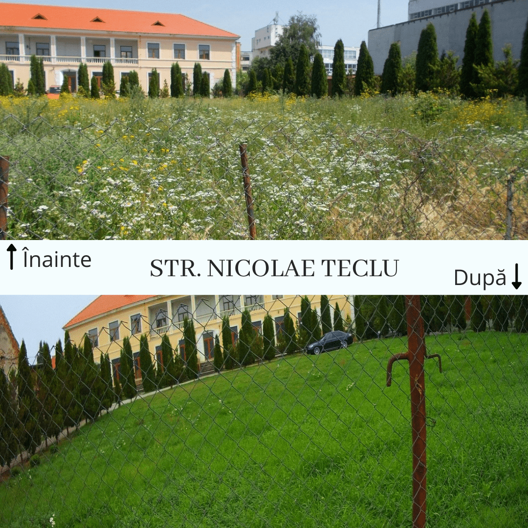 img_20211109_094644698030669627069058.png img