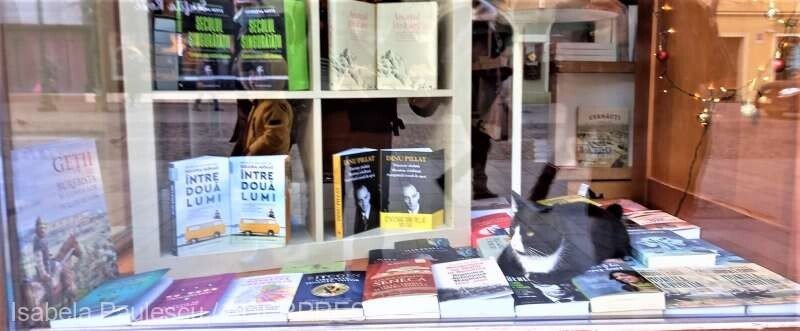 gsa dec pisica libraria  humanitas sb