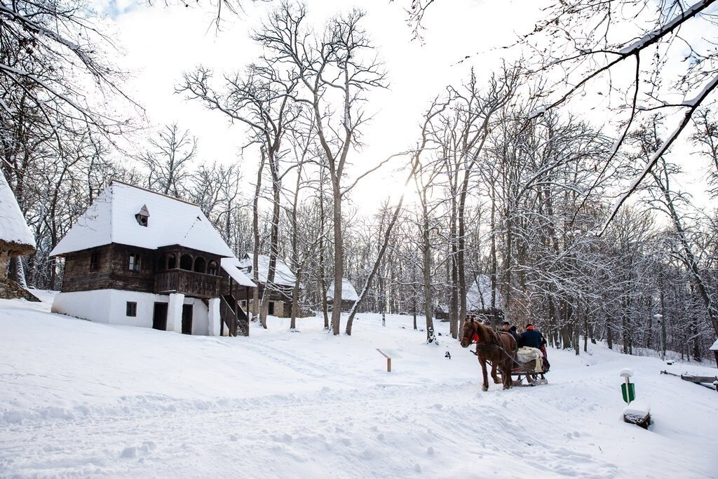 iarna muzeul astra