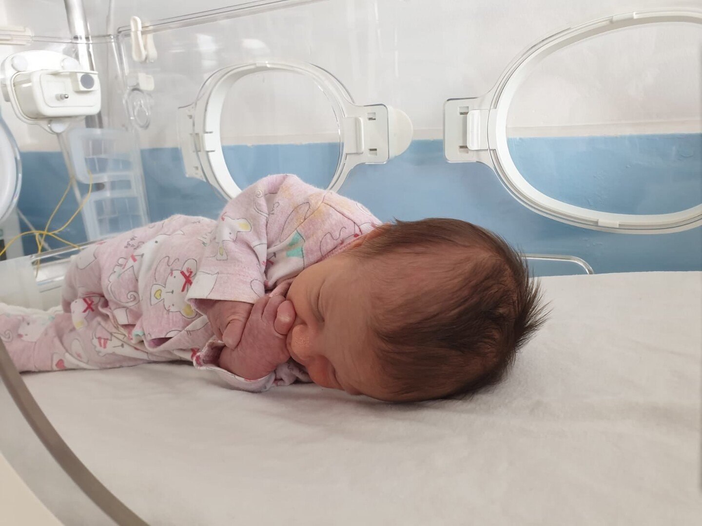 bebelus Medias bebelus Medias