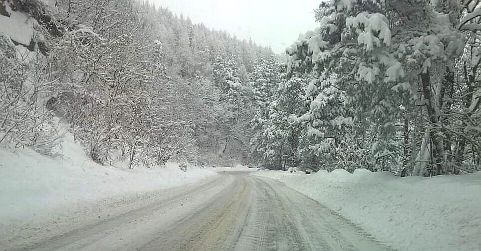 Drum Paltinis Drum Paltinis