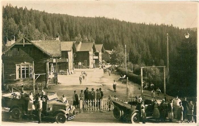 Paltinis old 1 Paltinis old