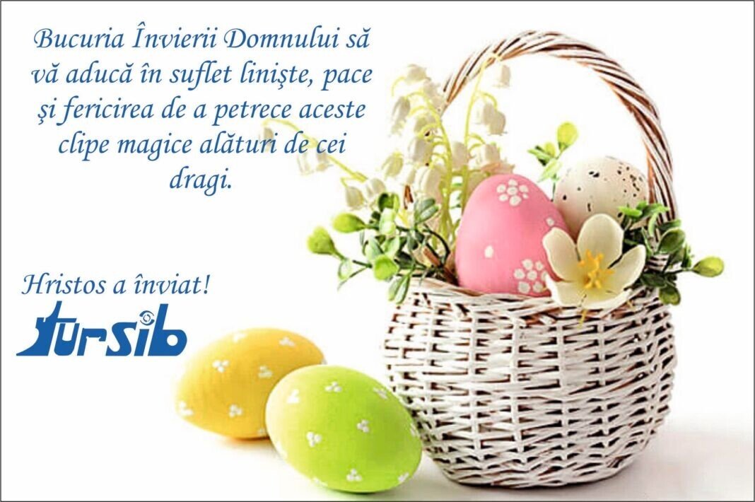 mesaj paste mesaj paste