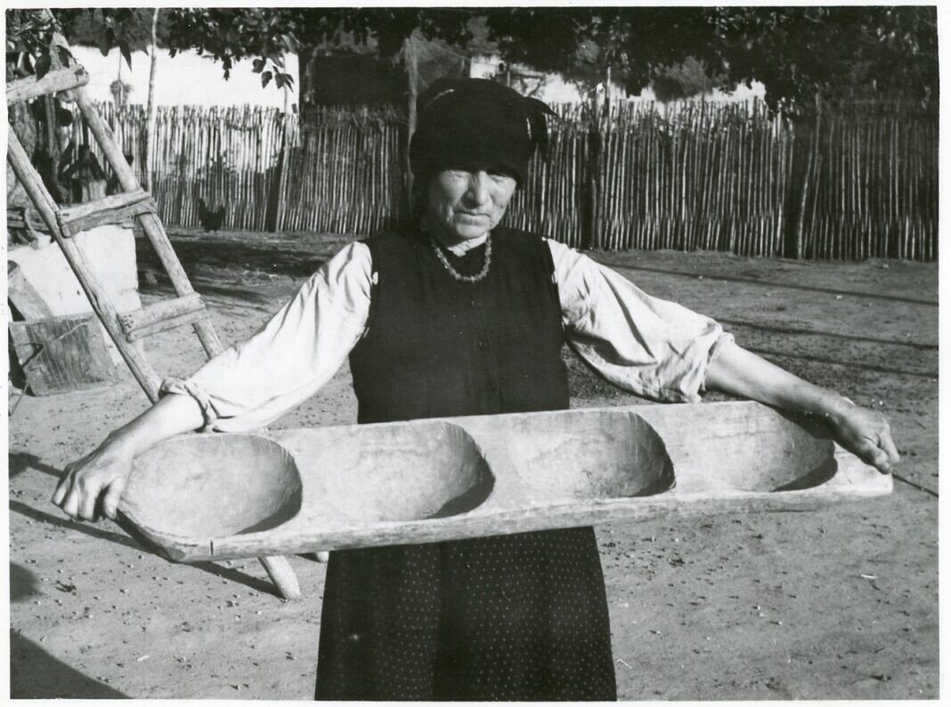 foto arhiva muzeul astra foto arhiva muzeul astra