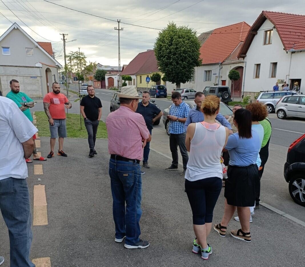 PNL Adrian Bibu Gusterita 2 PNL Adrian Bibu Gusterita 2