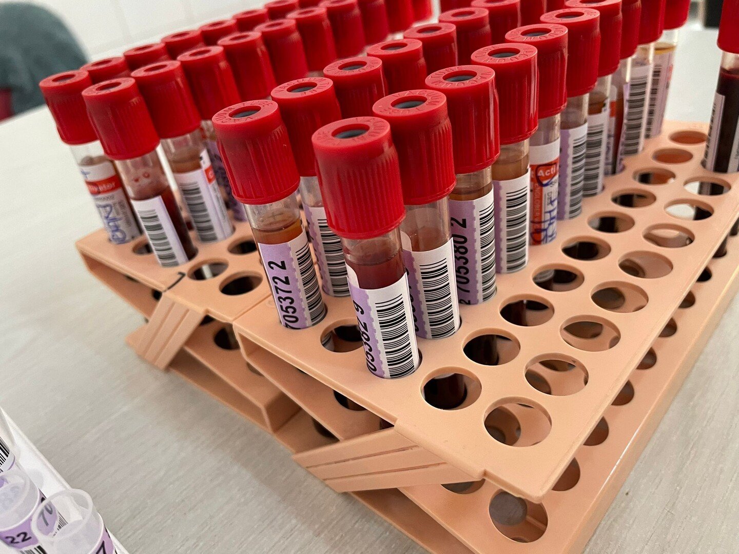 Ziua internațională a donatorului de sânge sărbătorită la Centrul de Transfuzie Sanguină Sibiu