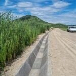 Știri din Sibiu, actualitate locală și ultimele noutăți din județ Avalanșă de vânzări de terenuri agricole în Sibiu: 2.705 oferte într-un singur an