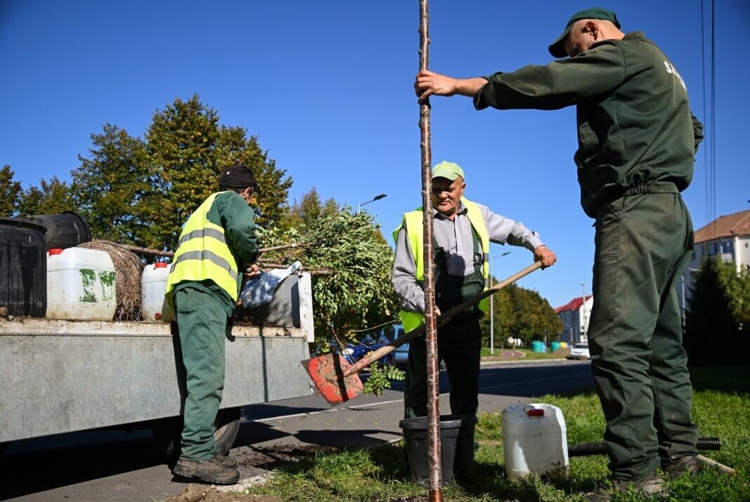 5B691ED0-672D-442D-8F07-BDB840025A10