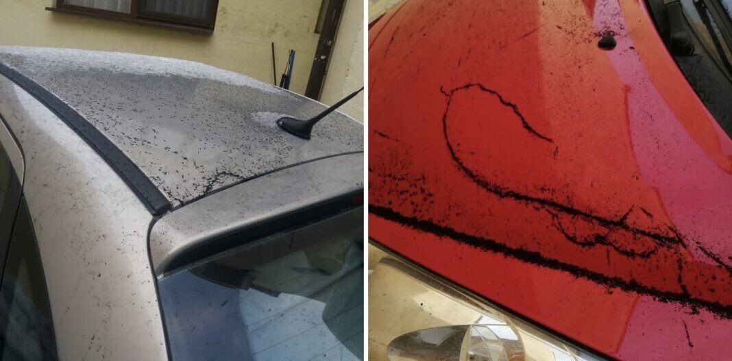 8eb411d8-cfb8-42cd-a12f-99f3f28d76c8