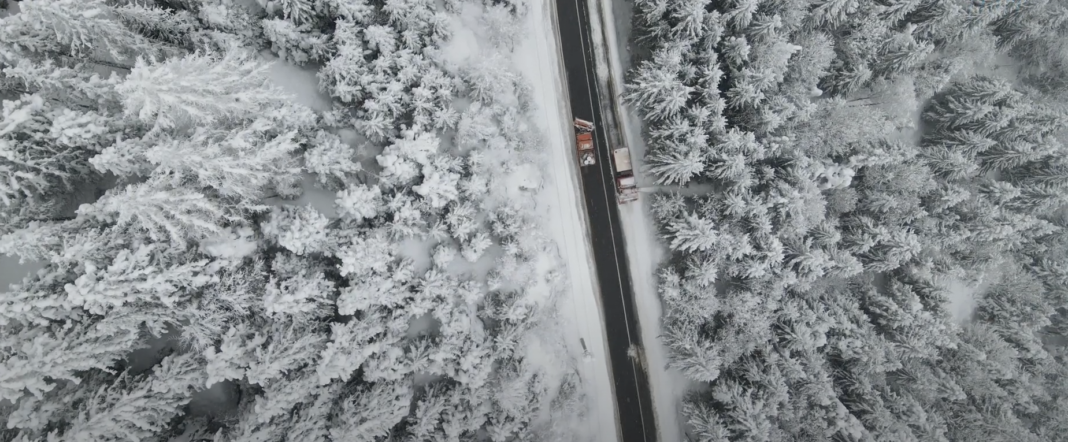 Screen Shot 2023-02-07 at 11.01.31