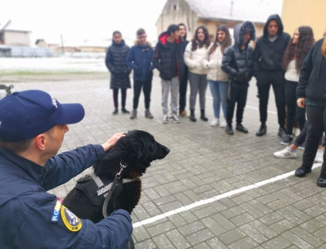 83d44c28-f4d0-4a1b-8508-ee2fa9eb2fec