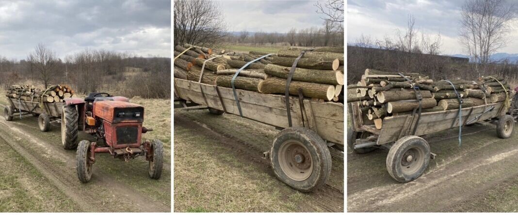 a04b1977-3c4c-4947-9c84-7de99f158468