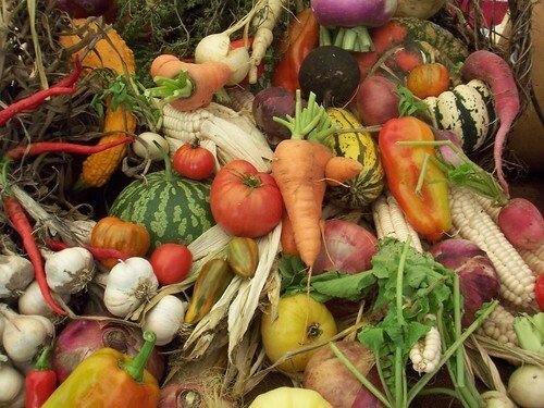 2966151283_eb50eddb46