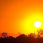 Cod portocaliu de caniculă afișat pe o hartă meteo a județului Sibiu
