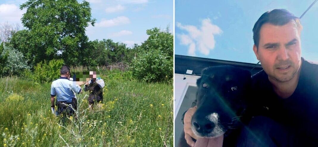 Cainele politist TED