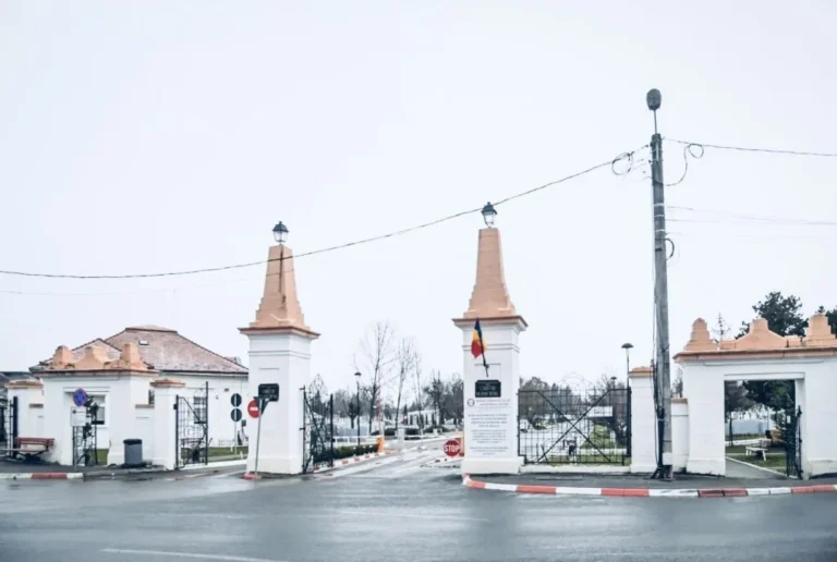 Licitație publică pentru concesionarea locurilor de mormânt în zona Intrării principale a Cimitirului Municipal Sibiu