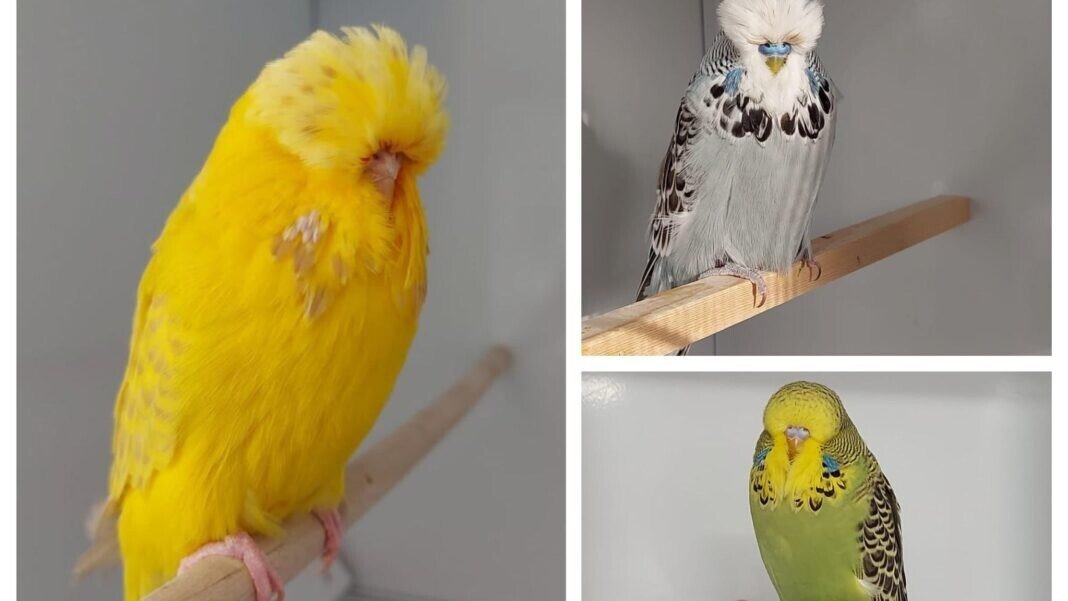 391731256_644532667795825_3928095281739103761_n