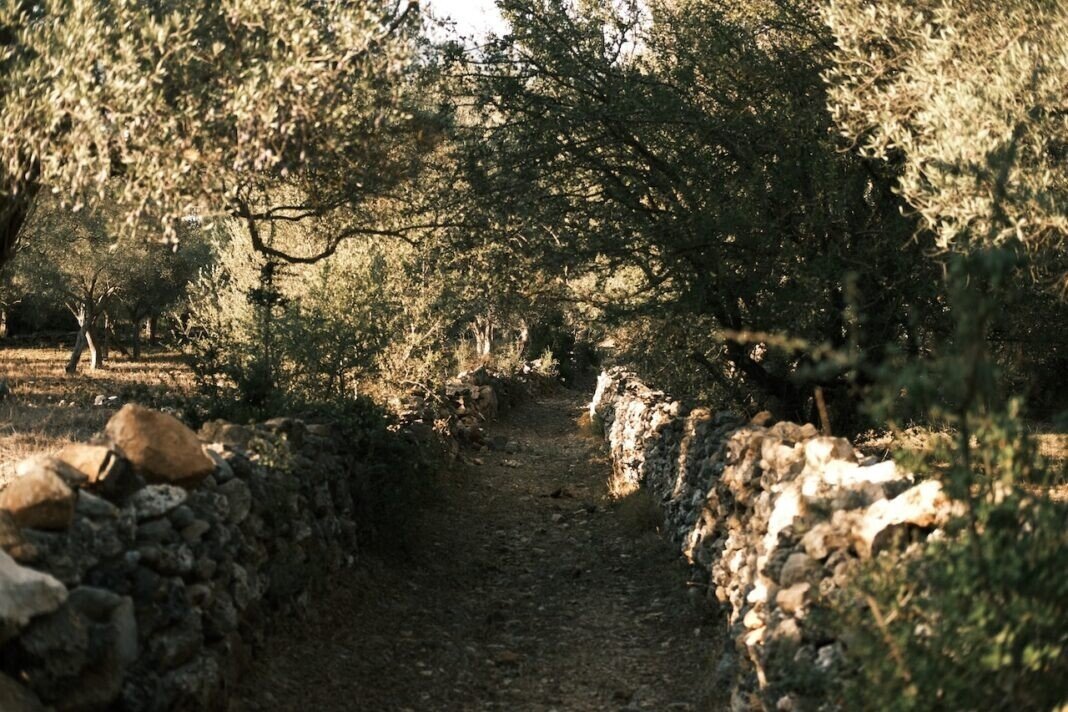 Articol-2-repatriere-decedati.ro_