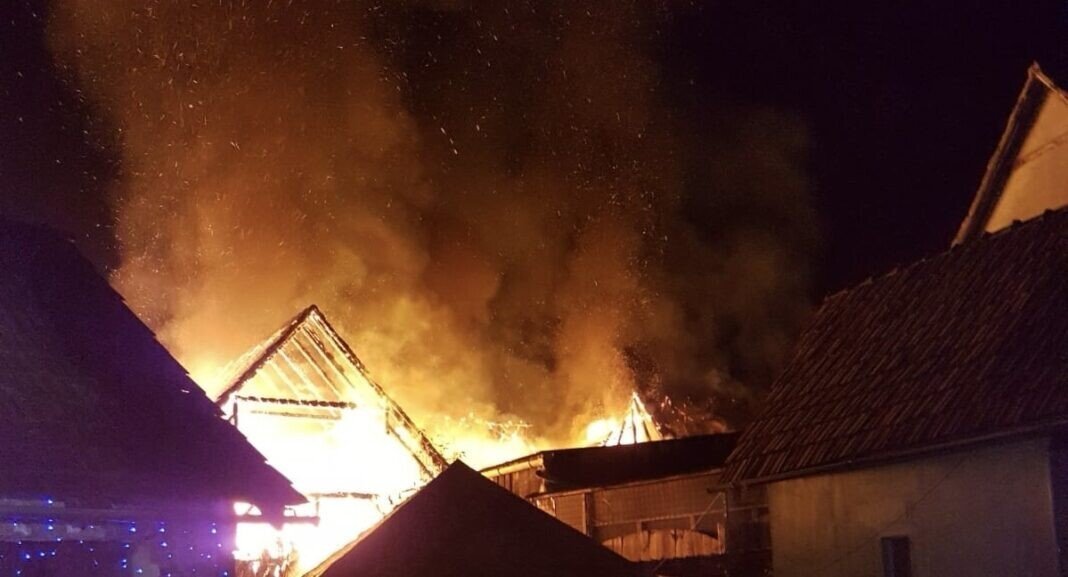 fee93061-4d4b-4fbd-8e29-c6714511543e-2-1