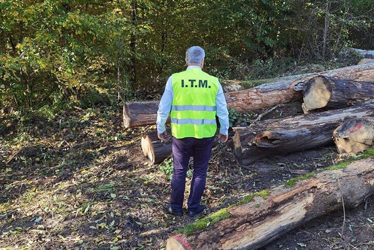 Știri din Sibiu, actualitate locală și ultimele noutăți din județ ITM Sibiu: Deficitul de inspectori, accidentele de muncă și munca „la negru” cresc presiunea asupra instituției